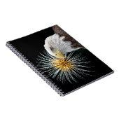 ハゲのワシと花火 ノートブック (右側)