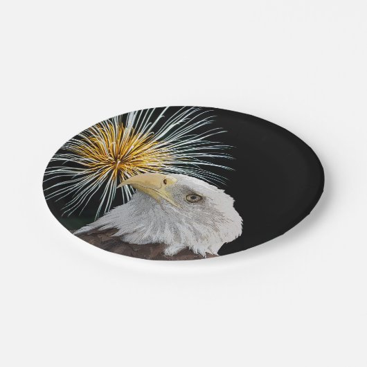 ハゲのワシと花火 ペーパープレート (アングル)