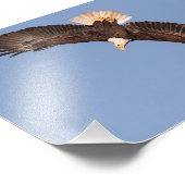 ハゲのワシに飛び込み始める フォトプリント            (角)