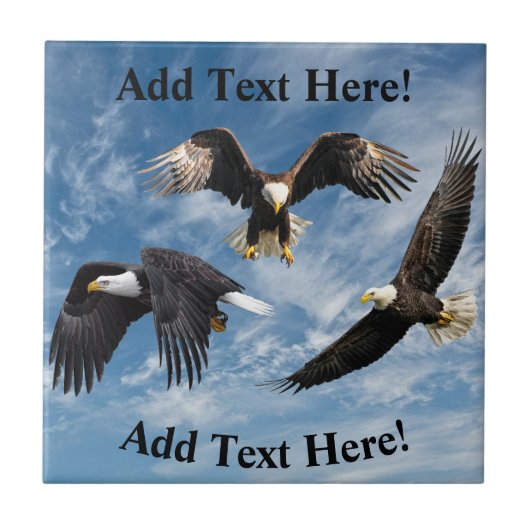 ハゲのワシのソアリング タイル (正面)