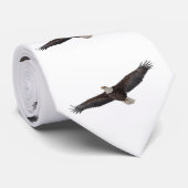 ハゲのワシのソアリング ネクタイ (ロール)