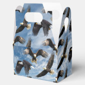 ハゲのワシのソアリング フェイバーボックス (オープン)