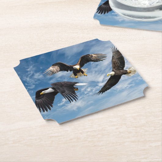 ハゲのワシのソアリング ペーパーコースター (アングル)