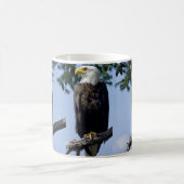 ハゲのワシのマグ コーヒーマグカップ (中央)