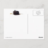 ハゲのワシの柵 ポストカード (裏面)