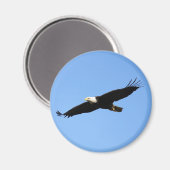 ハゲのワシの轟音 マグネット (正面/裏面)