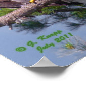 ハゲのワシをプリントやポスター ポスター (角)