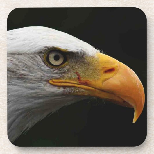 ハゲのワシ彗星 コースター (正面)