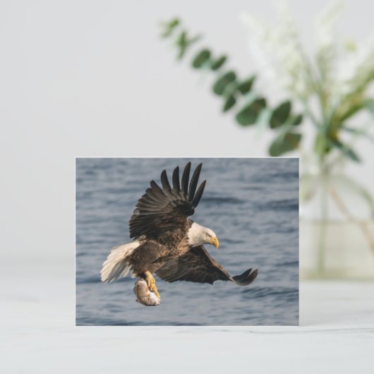 ハゲのワシ捕獲食 ポストカード (スタンド正面)