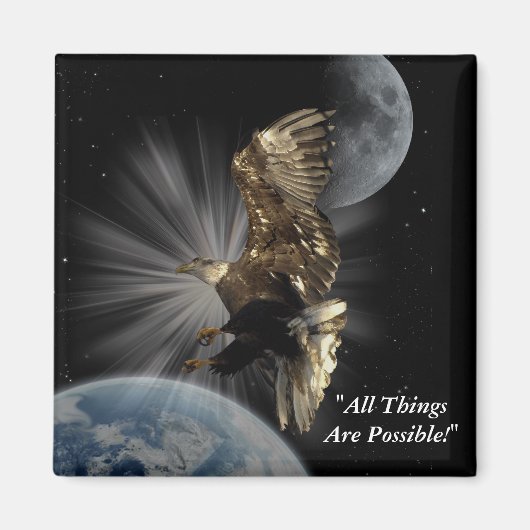 ハゲやる気を起こさせるワシ磁石 マグネット (正面)