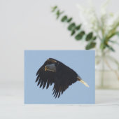 ハゲやる気を起こさせるワシ ポストカード (スタンド正面)