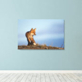 ハゲキツネ キャンバスプリント (インサイチュ (ウッドフロア))