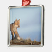 ハゲキツネ メタルオーナメント (左)
