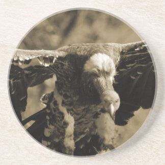 ハゲタカのコースター コースター