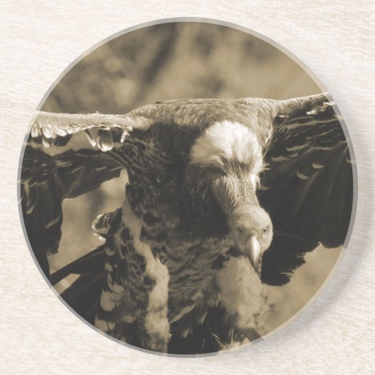 ハゲタカのコースター コースター (正面)