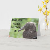 ハゲタカのハッピーバースデー カード (黄色い花)