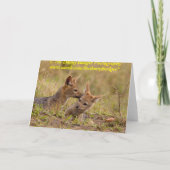 ハゲタカの組のサンキューカード サンキューカード (裏面)