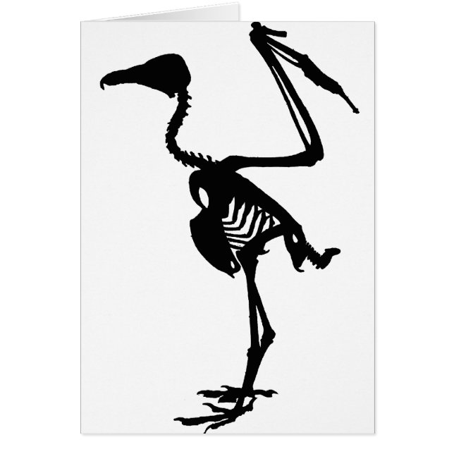 ハゲタカの骨 (正面)