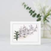 ハゲハゲハゲハ ポストカード (スタンド正面)