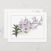 ハゲハゲハゲハ ポストカード (正面/裏面)