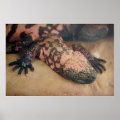 ハゲハゲワシ ポスター (正面)