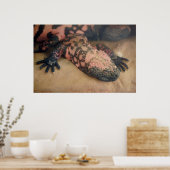 ハゲハゲワシ ポスター (キッチン)