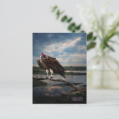 ハゲファンタジー ポストカード (スタンド正面)