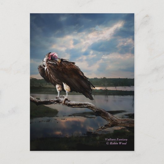 ハゲファンタジー ポストカード (正面)