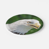 ハゲポートレート ペーパープレート (アングル)