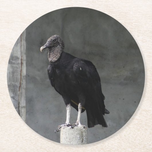 ハゲレンパルプボードコースター ラウンドペーパーコースター (正面)