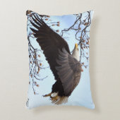 ハゲワシが脱走 アクセントクッション (正面(垂直))