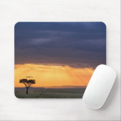 ハゲワシとアカシアの木のパノラマビュー マウスパッド (マウス)