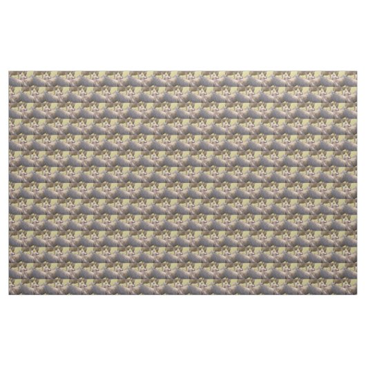 ハゲワシとハイエナ ファブリック (ヤード)