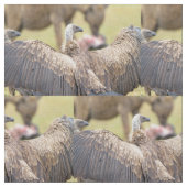 ハゲワシとハイエナ ファブリック (クローズアップ)