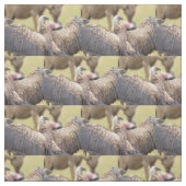 ハゲワシとハイエナ ファブリック (見本)