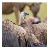 ハゲワシとハイエナ ポスター (正面)