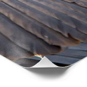 ハゲワシとハイエナ ポスター (コーナー)