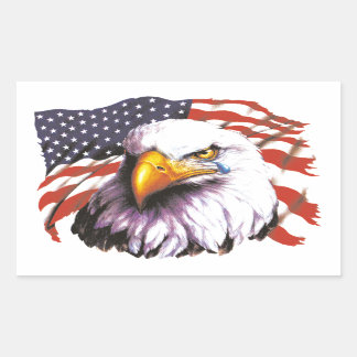 ハゲワシと涙 – Usa Flag In Background 長方形シール