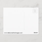 ハゲワシと花火 ポストカード (裏面)