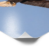 ハゲワシに火を付けた フォトプリント            (角)