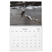 ハゲワシのカレンダー カレンダー (1月 2027)