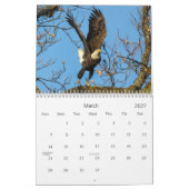 ハゲワシのカレンダー カレンダー (3月 2027)