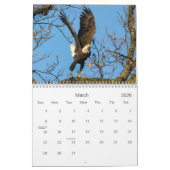 ハゲワシのカレンダー カレンダー (3月 2026)