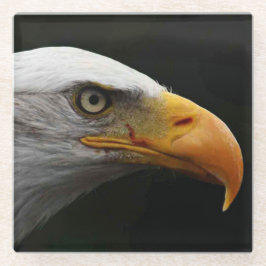 ハゲワシのカワウソ ガラスコースター