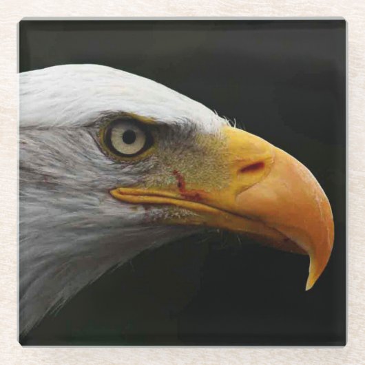 ハゲワシのカワウソ ガラスコースター (正面)