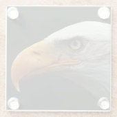 ハゲワシのカワウソ ガラスコースター (裏面)