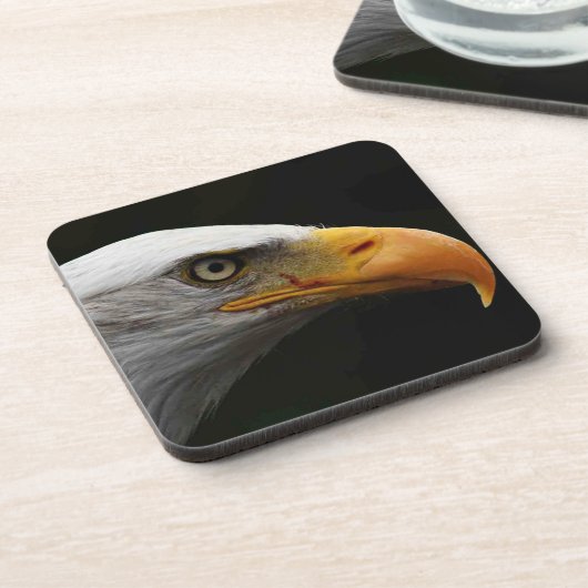 ハゲワシのカワウソ コースター (左側)