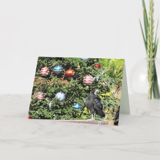 ハゲワシのクリスマスツリーのグリーティングカード シーズンカード (正面)