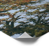 ハゲワシのネスト ポスター (角)