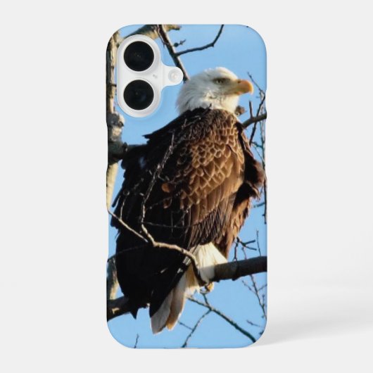 ハゲワシのポーズ iPhone 16ケース (裏面)